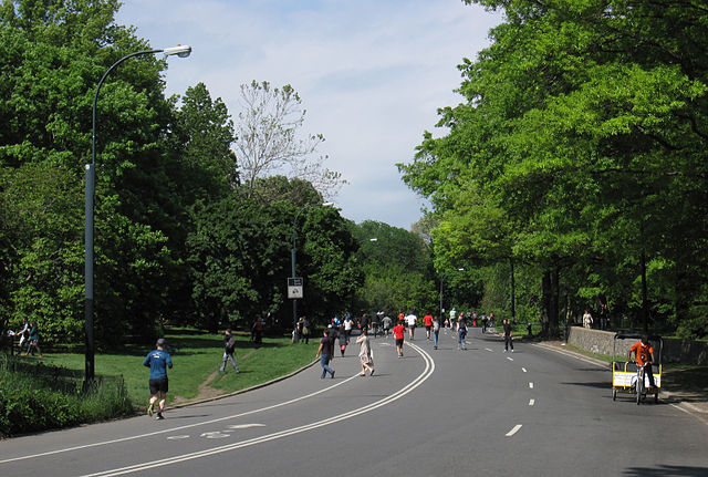 Park Drive - Central Park